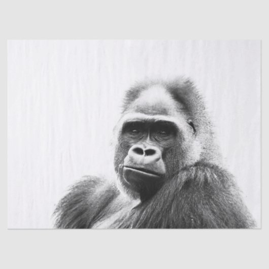 Gorilla Tissuepapier (Voorkant)