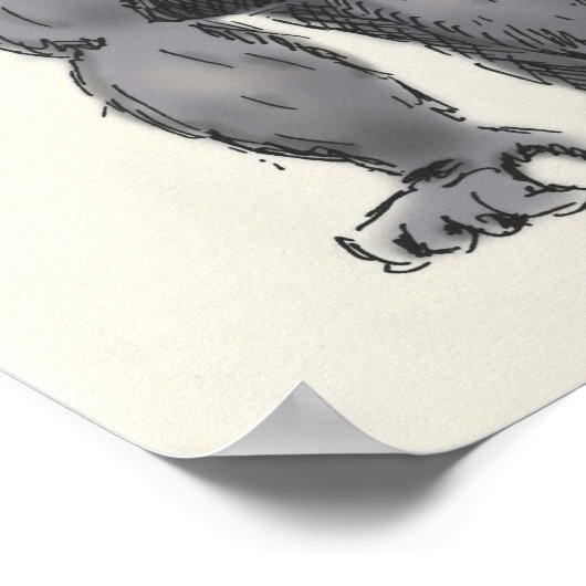 gorilla trivia poster (Hoek)