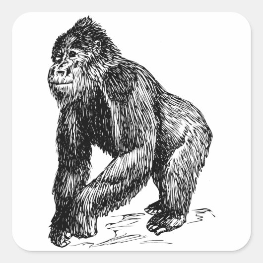 Gorilla Vierkante Sticker (Voorkant)