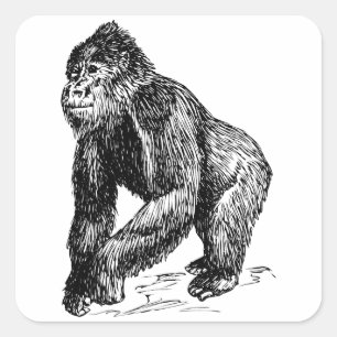 Gorilla Vierkante Sticker