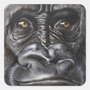 Gorilla Vierkante Sticker