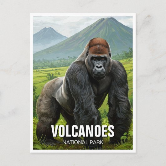 Gorilla Volcanoes Nationaal Park Rwanda Reizen Briefkaart (Voorkant)