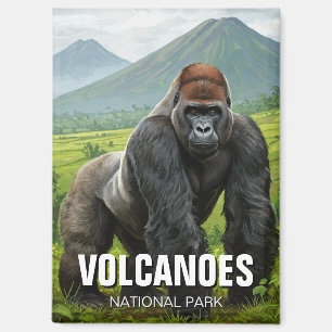 Gorilla Volcanoes Nationaal Park Rwanda Reizen Magneet