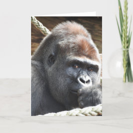 Gorilla Wenskaart Kaart