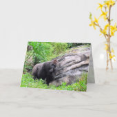 Gorilla Wenskaart Kaart (Gele Bloem)