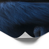 Gorilla wild dier ontspannen portret poster (Hoek)