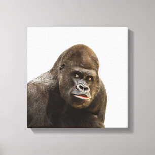 Gorilla wild oerwoud dierentuin foto canvas afdruk
