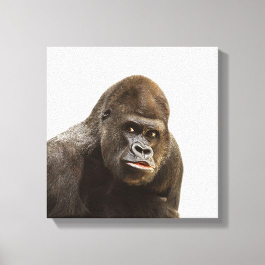Gorilla wild oerwoud dierentuin foto canvas afdruk (Voorkant)
