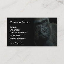 Gorilla Wildlife Primate Wild Animal bedreigd