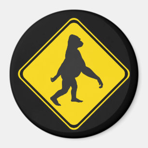 Gorilla Xing. Magneet
