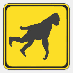 Gorilla Xing. Vierkante Sticker