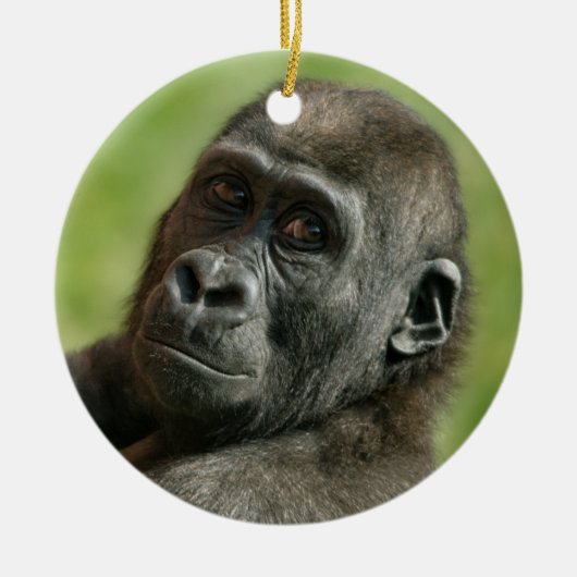 Gorilla Youngster Keramisch Ornament (Voorkant)