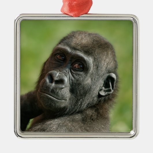 Gorilla Youngster Metalen Ornament (Voorkant)