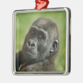 Gorilla Youngster Metalen Ornament (Links)