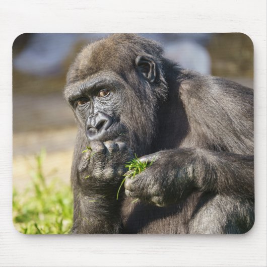 Gorilla Youngster Muismat (Voorkant)