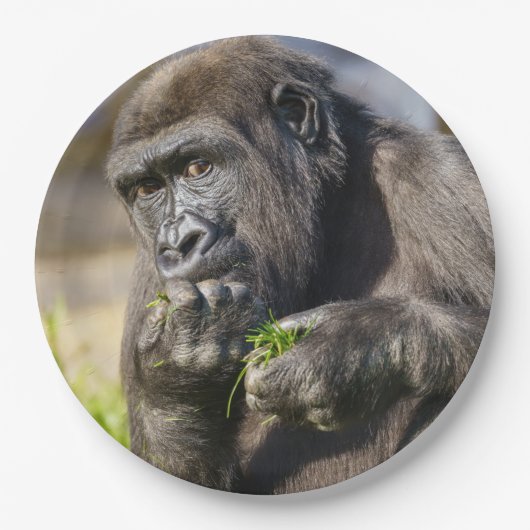 Gorilla Youngster Napkin Papieren Bordje (Voorkant)