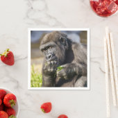 Gorilla Youngster Servet (Insitu)