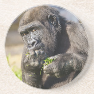 Gorilla Youngster Square Paper Onderzetter