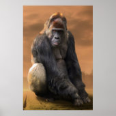 Gorilla, zilver achteraan bij schemering poster (Voorkant)