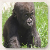 Gorillababy Bier Onderzetter (Voorkant)