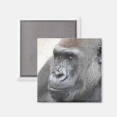 gorillamagneet magneet (Voorkant / Achterkant)