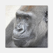 gorillamagneet magneet (Voorkant)