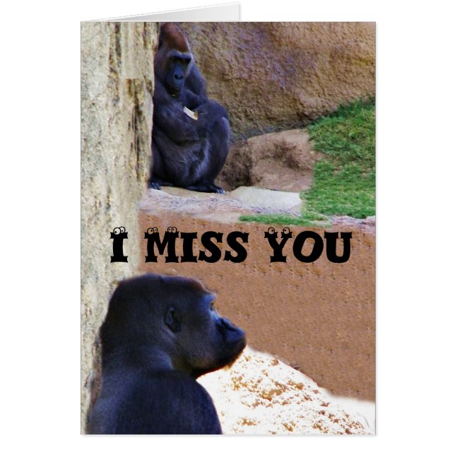 Gorillas_ (Voorkant)