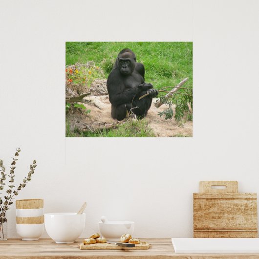 gorillas 002 canvas poster (Keuken)