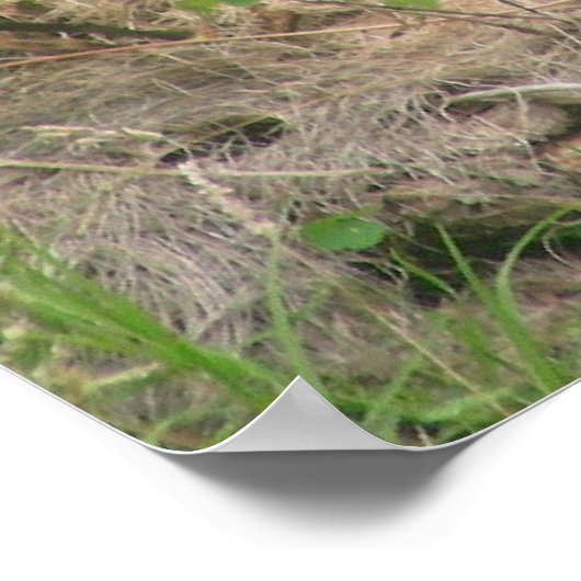 gorillas 002 canvas poster (Hoek)