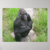 gorillas 007 canvas poster (Voorkant)