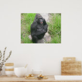 gorillas 007 canvas poster (Keuken)