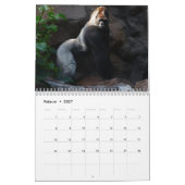 Gorillas als Kalender (Feb 2027)