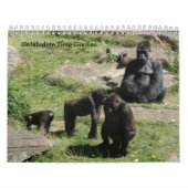 Gorillas als Kalender (Hoes)