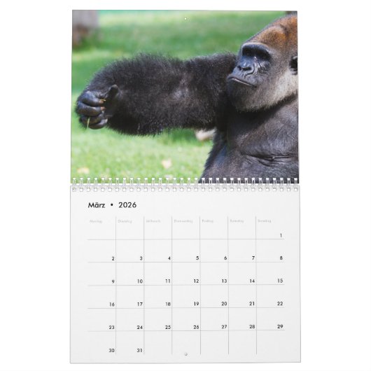 Gorillas als Kalender (Mar 2026)