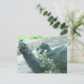 gorilla's briefkaart (Staand voorkant)