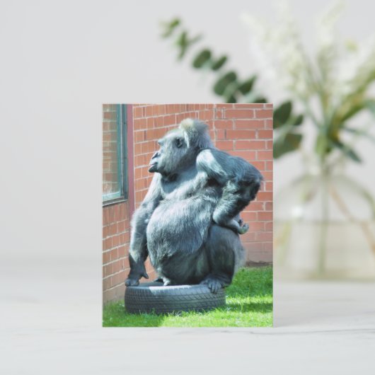 GORILLAS BRIEFKAART (Staand voorkant)
