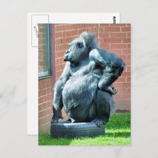 GORILLAS BRIEFKAART (Voorkant / Achterkant)