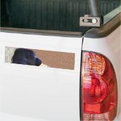 Gorillas_ Bumpersticker (Op Truck)