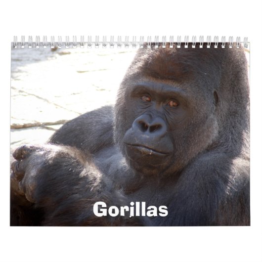 Gorillas Calendar Kalender (Hoes)