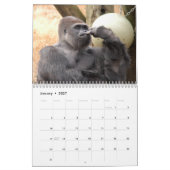 Gorillas Calendar Kalender (Jan 2027)