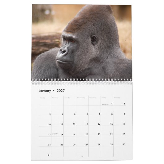 Gorillas Calendar Kalender (Jan 2027)