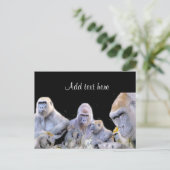 Gorillas & Chimpanzees_ Briefkaart (Staand voorkant)