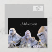 Gorillas & Chimpanzees_ Briefkaart (Voorkant / Achterkant)
