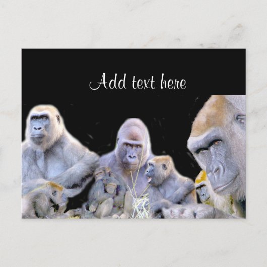 Gorillas & Chimpanzees_ Briefkaart (Voorkant)