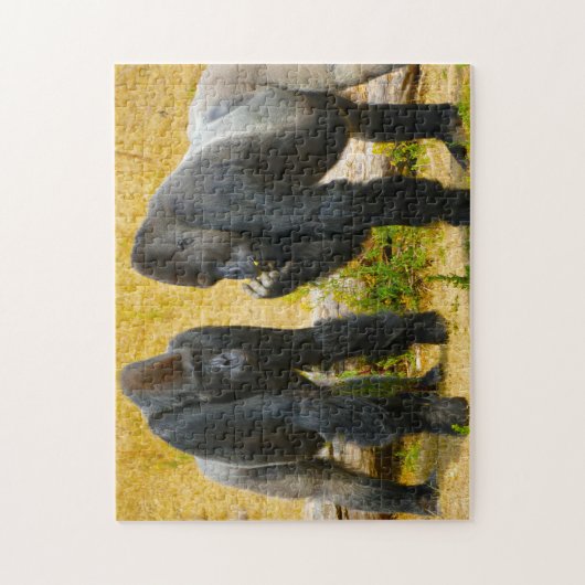 Gorillas. Jigzaag Puzzle Legpuzzel (Verticaal)