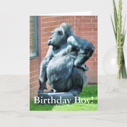 GORILLAS KAART (Voorkant)