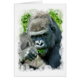 GORILLAS-kaart