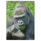 GORILLAS KLEMBORD (Achterkant)