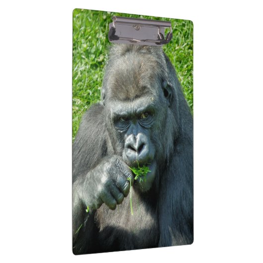 GORILLAS KLEMBORD (Rechts)