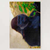 Gorillas. Legpuzzel (Verticaal)